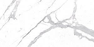 BIANCO STATUARIO VENATO