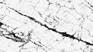 Lamar - Invisible White