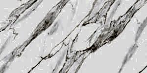 Lamar - Calacatta Borghini